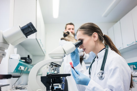 Laboratório por imagem